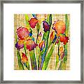 Iris Elegance On Yellow Framed Print