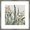 Iris Flowers And Grasshopper Framed Print
