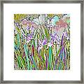 Iris Garden Framed Print
