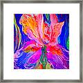 Funky Iris Flower Framed Print