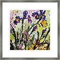 Irises Butterflies And Bees Garden Provencale Framed Print