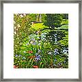 Irises On The Pond Framed Print
