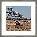 Irrigation Convergence Framed Print