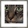 Isaac's Eyes Framed Print