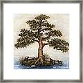 Island Tree Framed Print