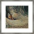 Fox - It's A Big World Out There Framed Print