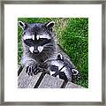 It's Nice To Meet You Framed Print