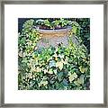 Ivy Hug For A Jug Framed Print