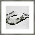 Jack Dempsey's Hands Framed Print