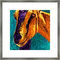 Jackson Framed Print