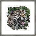 Jaguar 5 Framed Print