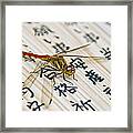 Japanese Dragonfly Framed Print