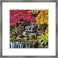 Japanese Laced Leaf Maple Trees In The Fall Framed Print