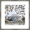 Jefferson Memorial And Cherry Blossoms Framed Print