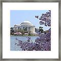 Jefferson Memorial - Cherry Blossoms Framed Print