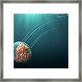 Jellyfish And Sun Rays Framed Print