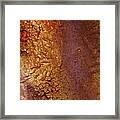 Jewel In The Rust Framed Print