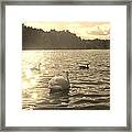 Jewels Of The Lake Framed Print