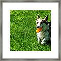 Johnny And His Toy Framed Print