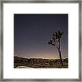 Joshua Tree Night 3 Framed Print