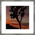 Joshua Tree Sunset Silhouette 6 Framed Print