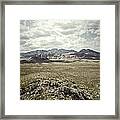 Jump In Framed Print