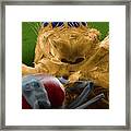 Jumping Spider Catching Prey Framed Print