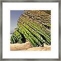 Jurassic Coast Quiaios Beach Framed Print