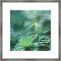 Jurassic Gully Framed Print