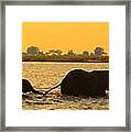 Kalahari Elephants Crossing Chobe River Framed Print