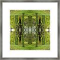 Kaleidoscope Ivy Trees Framed Print