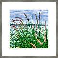 Karley Rose Framed Print