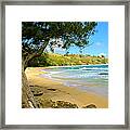Kauai Beach Framed Print