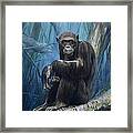 Keeper Of The Congo Framed Print