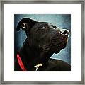 Kettles The Majestic Framed Print