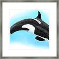 Killer Whale Framed Print