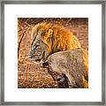 King And Queen Framed Print