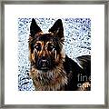 King Shepherd Dog Framed Print