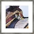 Kitty In The Saddle Framed Print