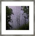 Knysna Moon Framed Print