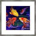 Koi Friends Framed Print