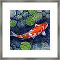 Koi Pond Framed Print