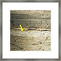 Kt Boundary And Iridium Layers In Rock Framed Print