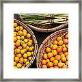 Kumquats Lemongrass 01 Framed Print