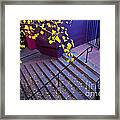 La Placita Village Framed Print