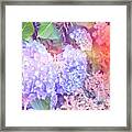 Lacy Details Framed Print