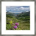 Ladies View Co.kerry Framed Print