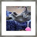 Laid Back Framed Print