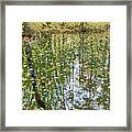 Lake Luster Framed Print