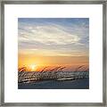 Lake Michigan Sunset With Dune Grass Framed Print